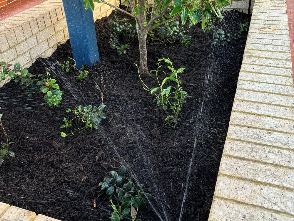 Drip irrigation in garden